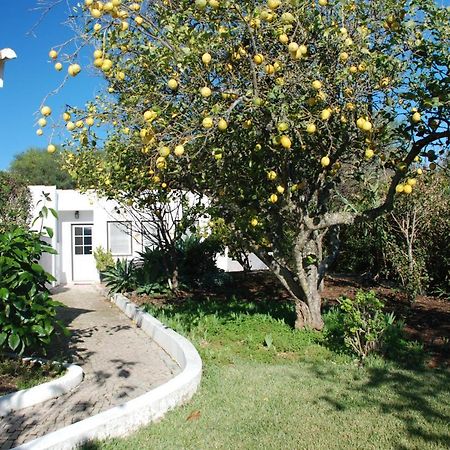 Casa Beachcomber Le Jardin Des Arts Lagos Ngoại thất bức ảnh